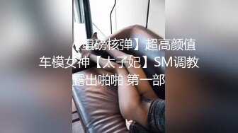 ⭐⭐⭐【重磅核弹】超高颜值车模女神【太子妃】SM调教露出啪啪 第一部