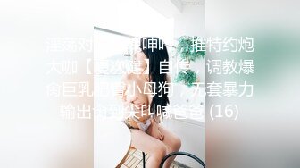 淫荡对白销魂呻吟，推特约炮大咖【夏次健】自传，调教爆肏巨乳肥臀小母狗，无套暴力输出肏到尖叫喊爸爸 (16)