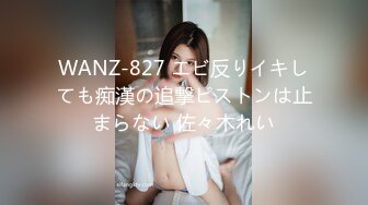 WANZ-827 エビ反りイキしても痴漢の追撃ピストンは止まらない 佐々木れい