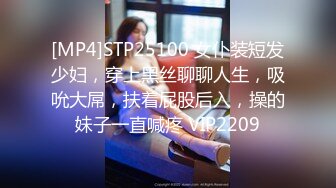 [MP4]STP25100 女仆装短发少妇，穿上黑丝聊聊人生，吸吮大屌，扶着屁股后入，操的妹子一直喊疼 VIP2209