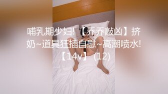 哺乳期少妇! 【乔乔敲凶】挤奶~道具狂插自慰~高潮喷水!【14v】 (12)