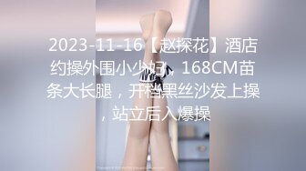 2023-11-16【赵探花】酒店约操外围小少妇，168CM苗条大长腿，开档黑丝沙发上操，站立后入爆操