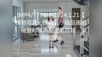 [MP4/777MB]2024.1.21【模特写真丶探花】，极品御姐，做爱时候再配上高跟鞋，操得嗷嗷叫