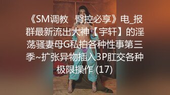 《SM调教✅臀控必享》电_报群最新流出大神【宇轩】的淫荡骚妻母G私拍各种性事第三季~扩张异物插入3P肛交各种极限操作 (17)