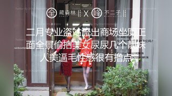 二月专业盗站流出商场坐厕正面全景偷拍美女尿尿几个靓妹人美逼毛性感很有撸点