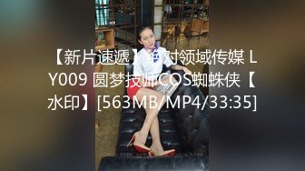 【新片速遞】绝对领域传媒 LY009 圆梦技师COS蜘蛛侠【水印】[563MB/MP4/33:35]